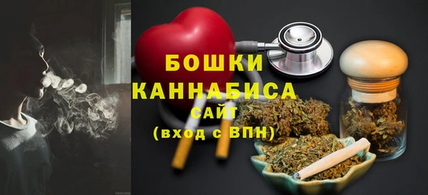 тгк Горнозаводск