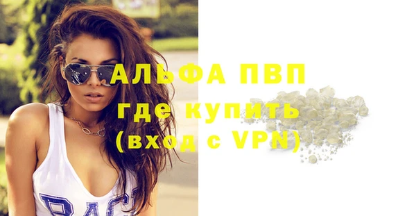 ешки Горняк