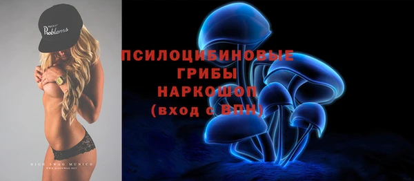 тгк Горнозаводск