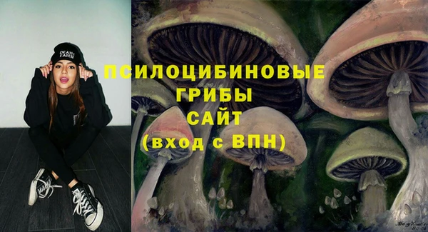 ешки Горняк