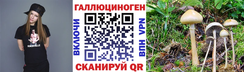 Галлюциногенные грибы Magic Shrooms  Саранск 