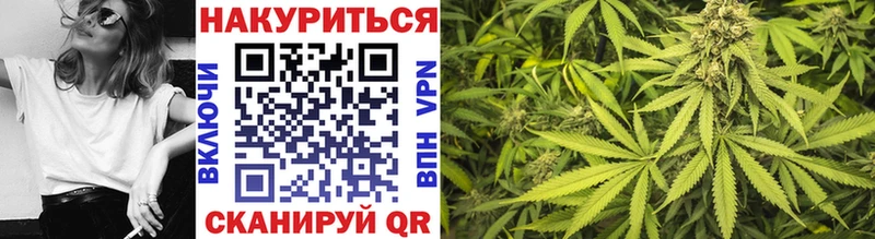 где купить   Саранск  blacksprut ТОР  МАРИХУАНА ГИДРОПОН 